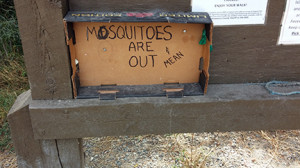 YR-Mosquitoes-Mean