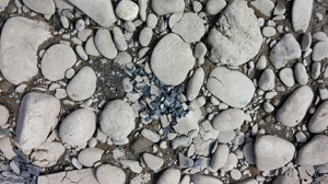YR-Shale