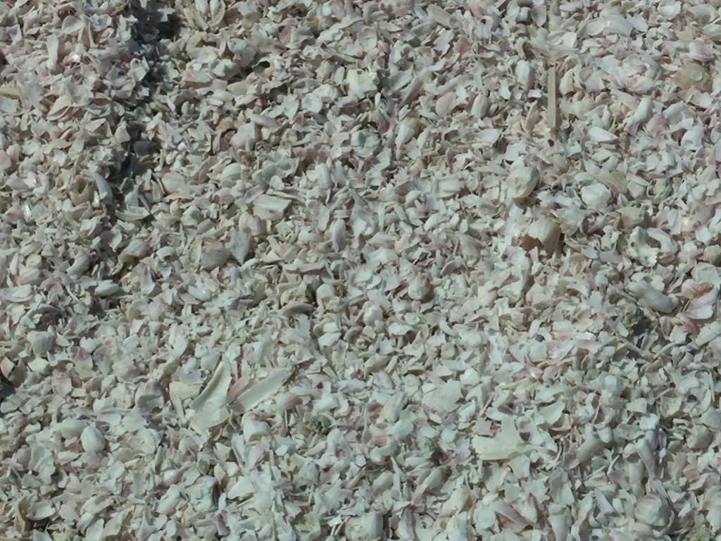 0305151151