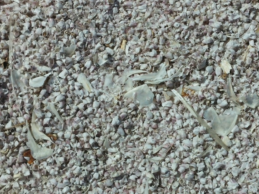 0305151151a