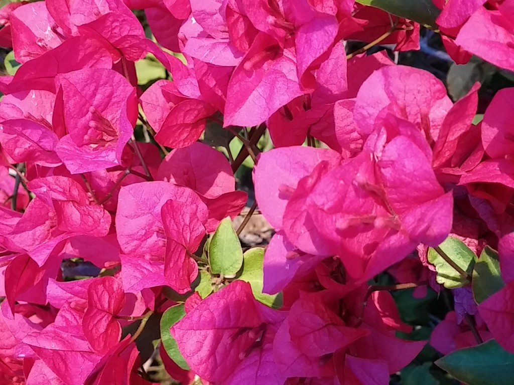 0307151733a