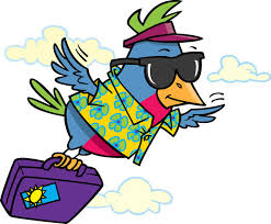 snowbird-4